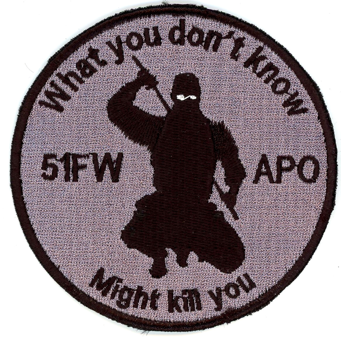 US Air Force Patch: 51st Fighter Wing APO What you don’t Know might kill you