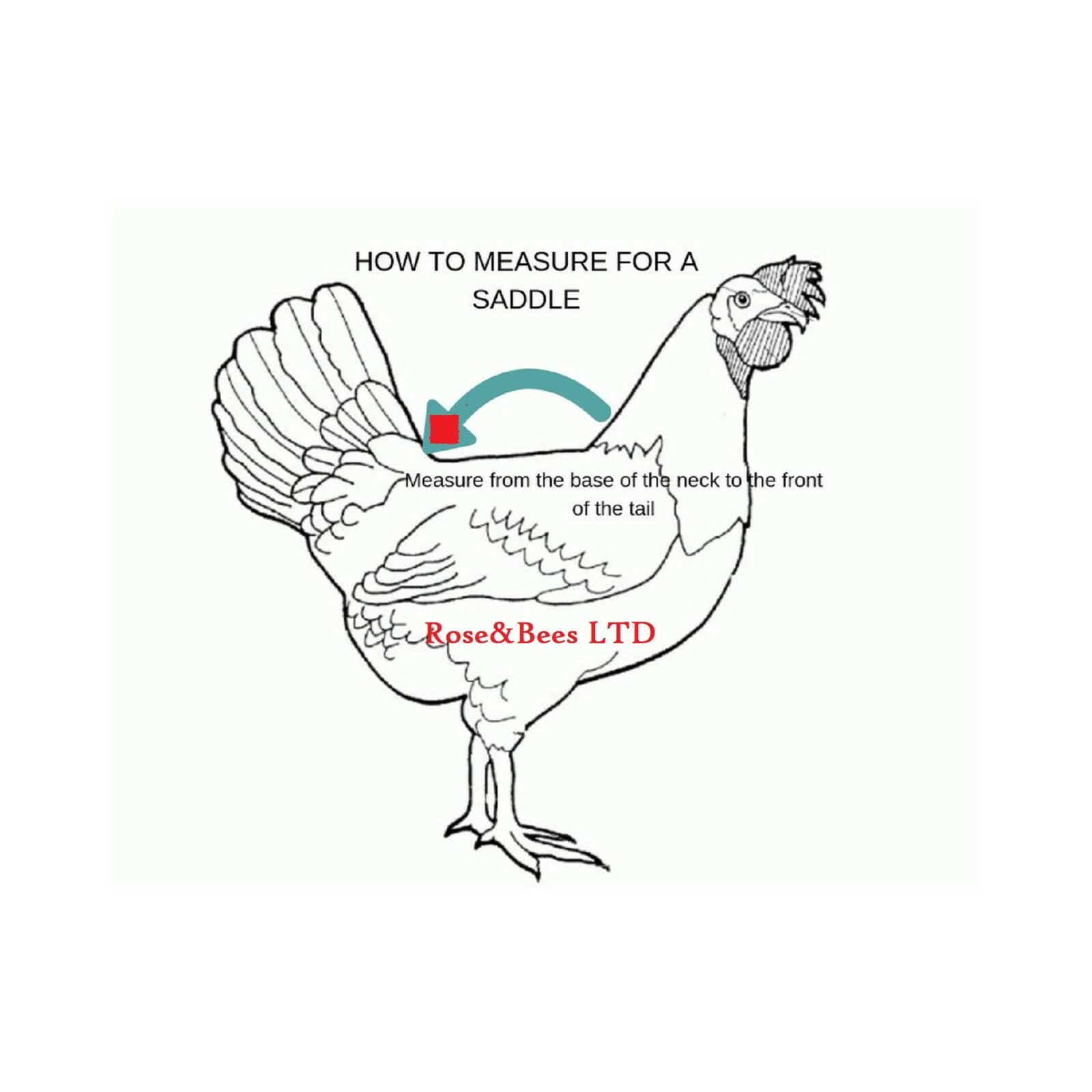 Elasticated Chicken Saddle Apron Hen Feather Protector Ducks Poultry | Egg Layer