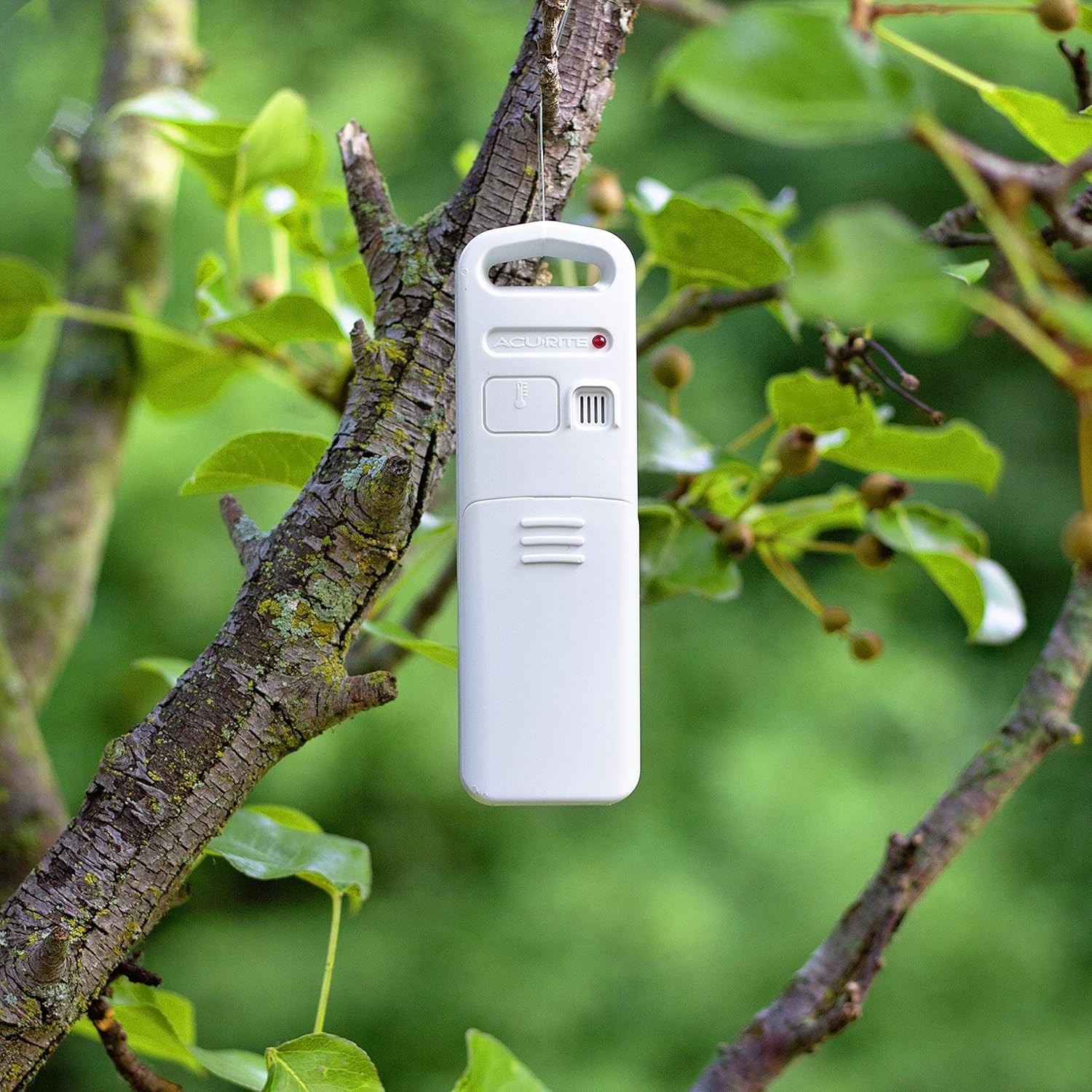 Large Display Wireless Thermometer with Trend Indicators and Humidity Tracking