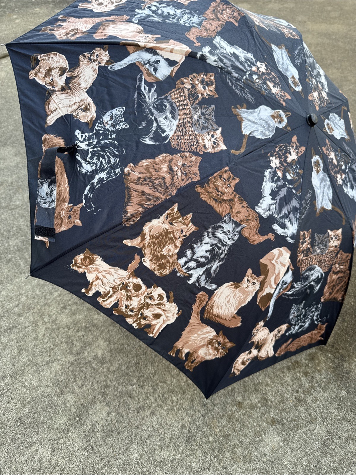 Cat Design Umbrella