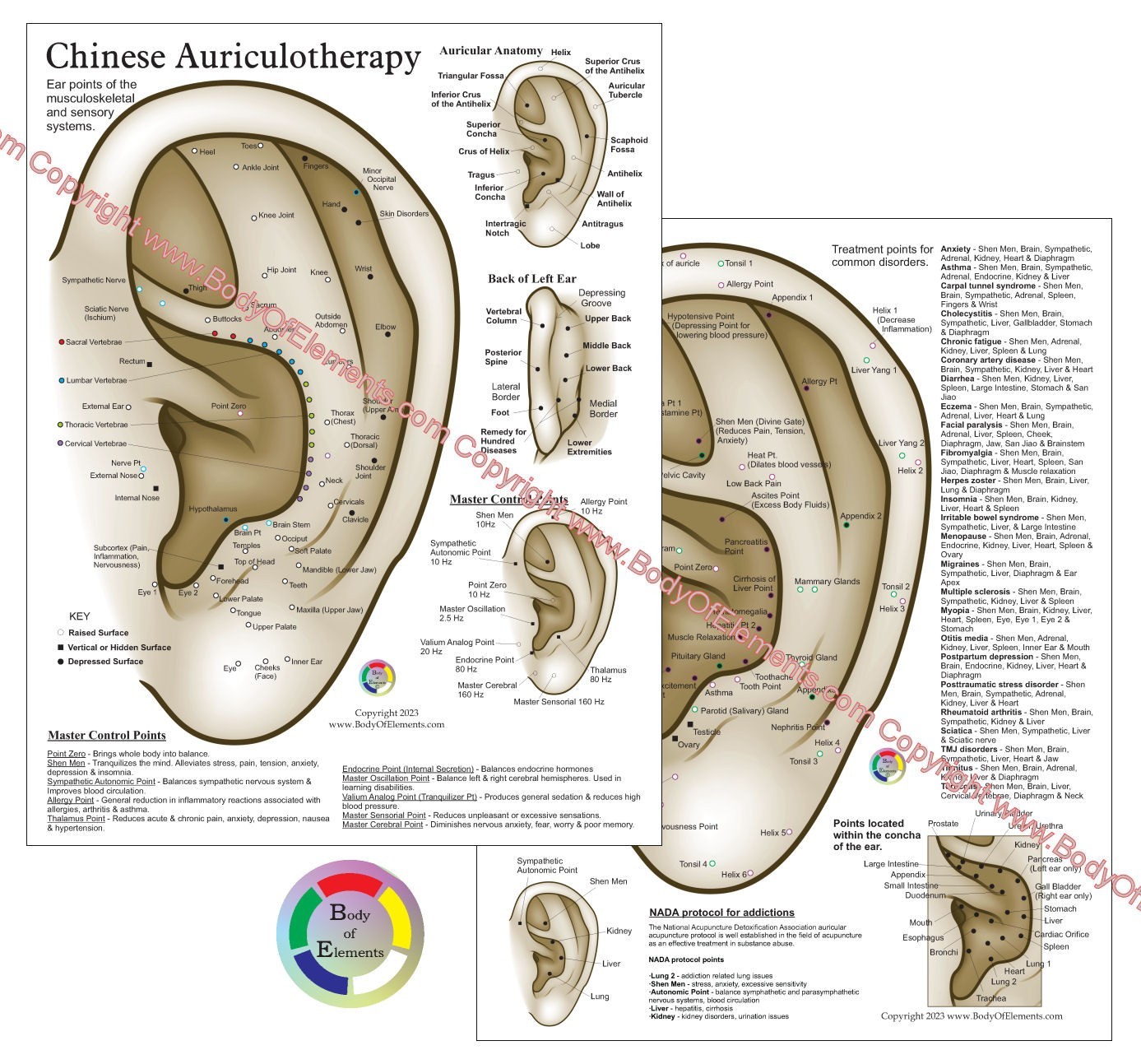 Ear Acupuncture Auriculotherapy Auricular Chart 8.5" X 11" Addiction Treatment