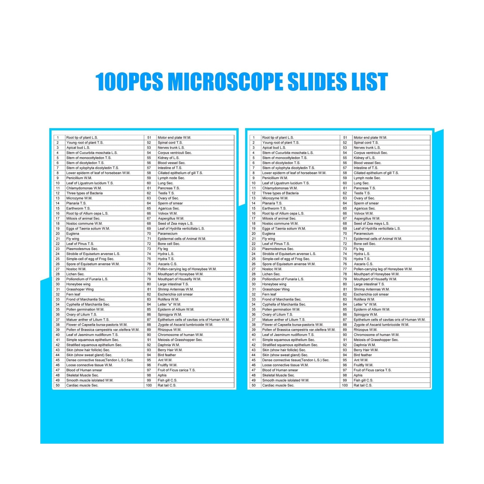 Microscope Slides, 100 Pcs Prepared Microscope Slides with Specimens for Kids...