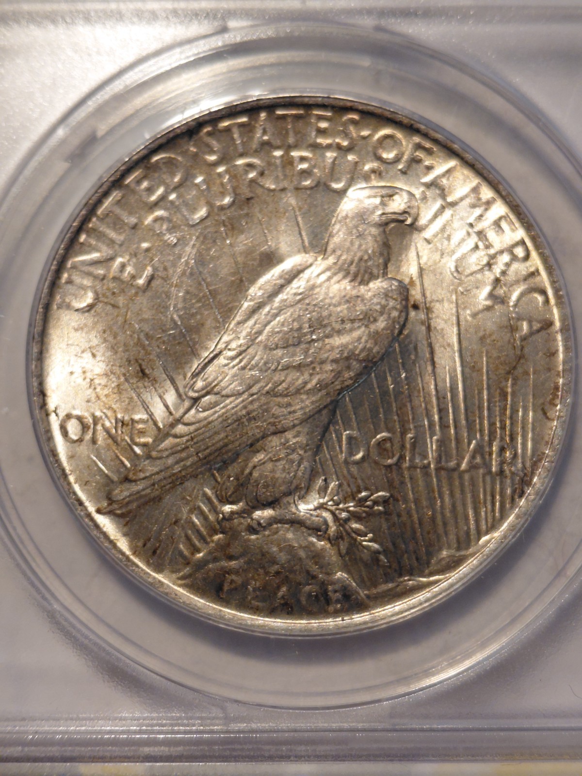 1923 Peace Dollar MS 63 ANACS