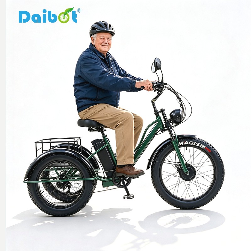 Daibot 750W 48V 24" Fat Tire E Trike 7 Speed Adult with Removable Battery