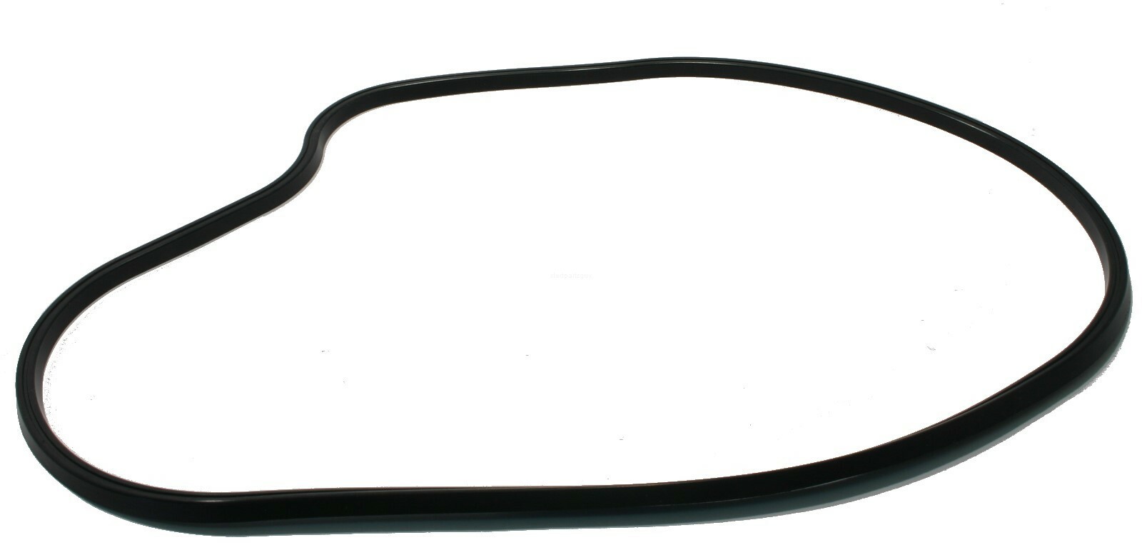 Polaris Shift 600, 2011, Chain Case Gasket - 5812755