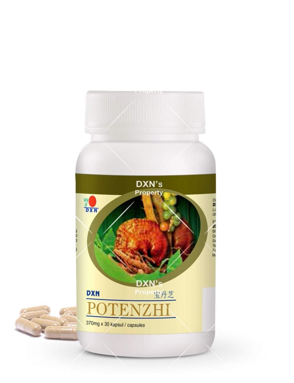 DXN Potenzhi Organic Ganoderma with 9 pure herb Supplement Herb Extracts Formula