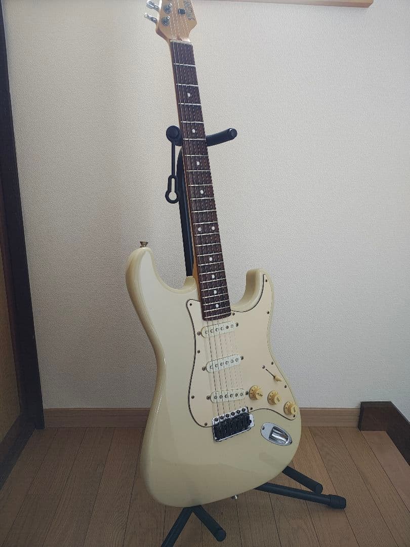 Fujigen J-Standard Safe delivery from Japan