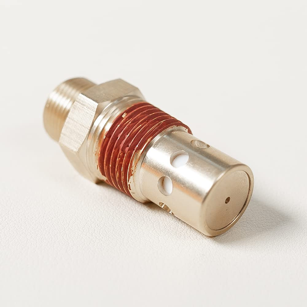 CAC-437-2 Air Compressor Check Valve,Brass 1/2 NPT & 1/2 CFPC Fittings in Val...