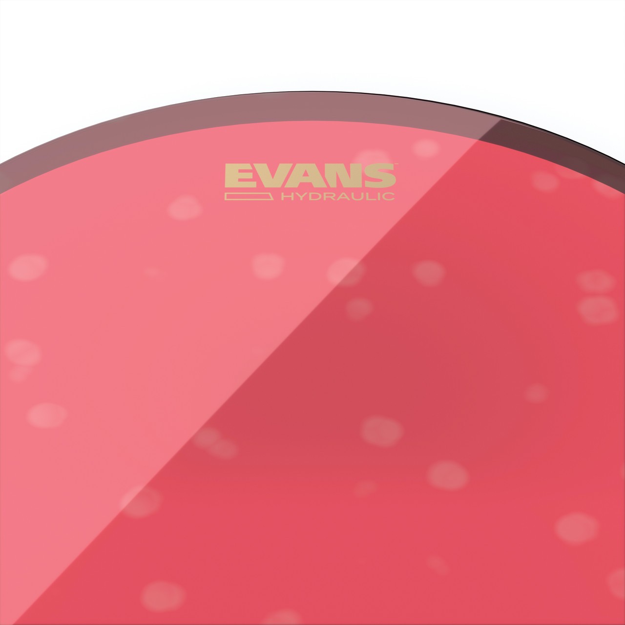 Evans Hydraulic Red Drum Head, 6 Inch
