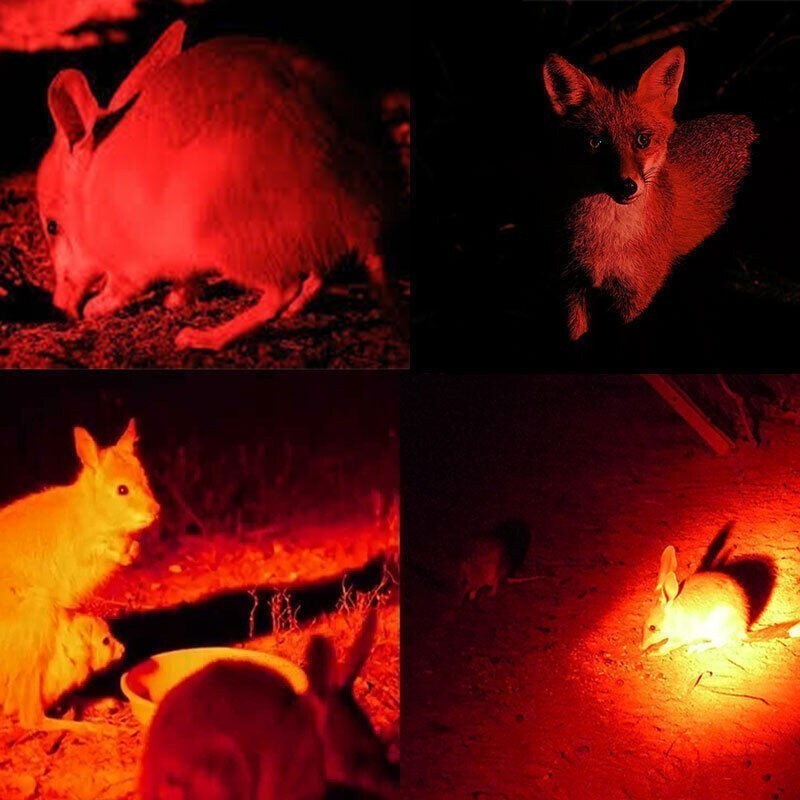 Mounted Light, Red LED Flashlight Torch, With Scope Mount Coyote Varmint Hunting