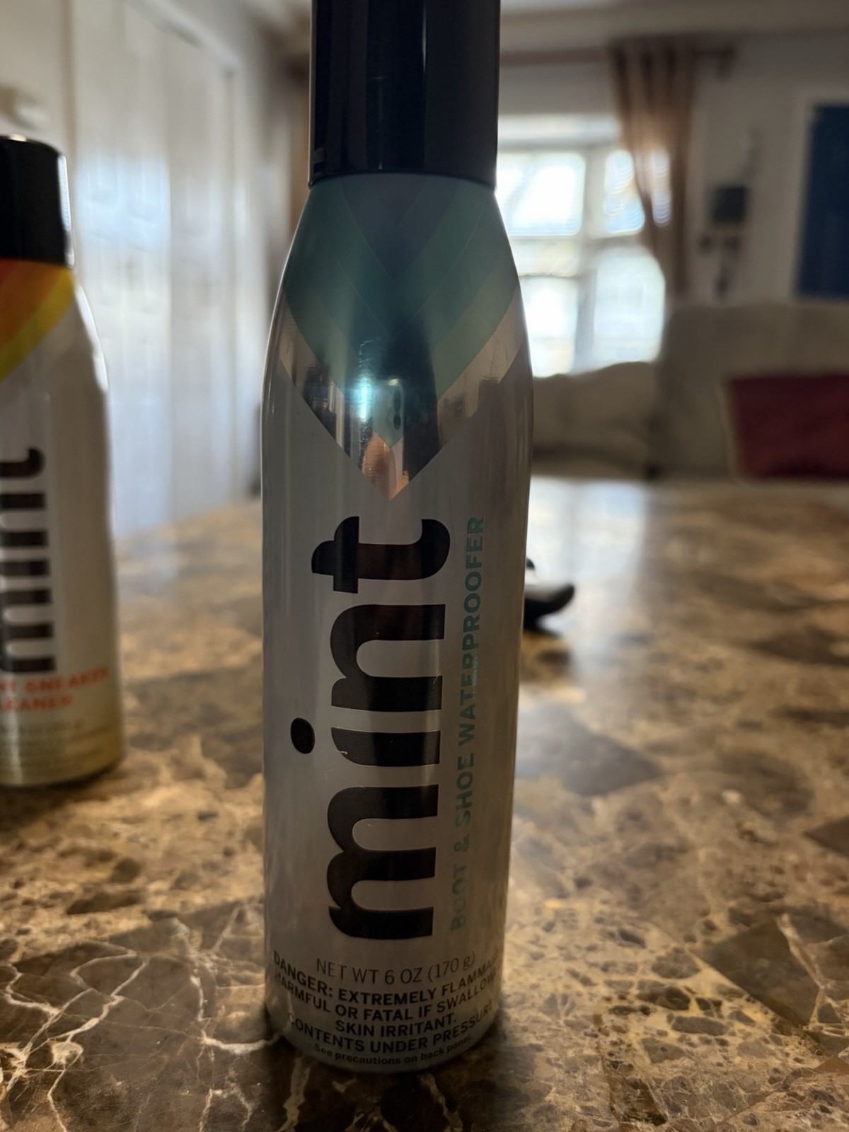 Mint Boot & Shoe Waterproofer 6 oz (170 g)