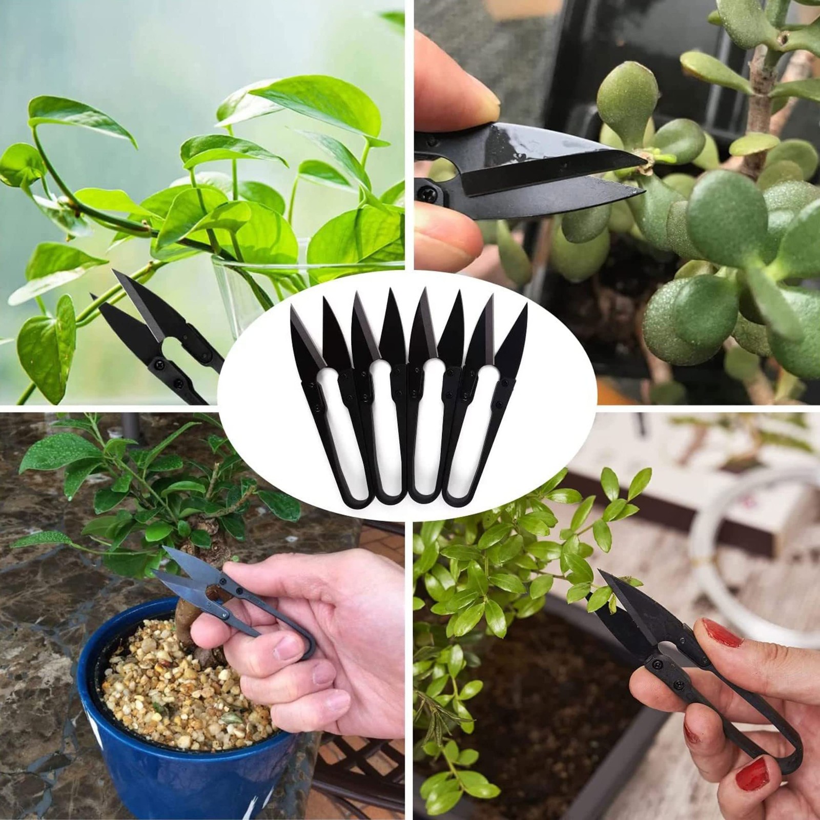 Bonsai Pruning Scissors 5 PCS, Small Pruner Shears, Bud M set - 5pcs, 5 Pcs
