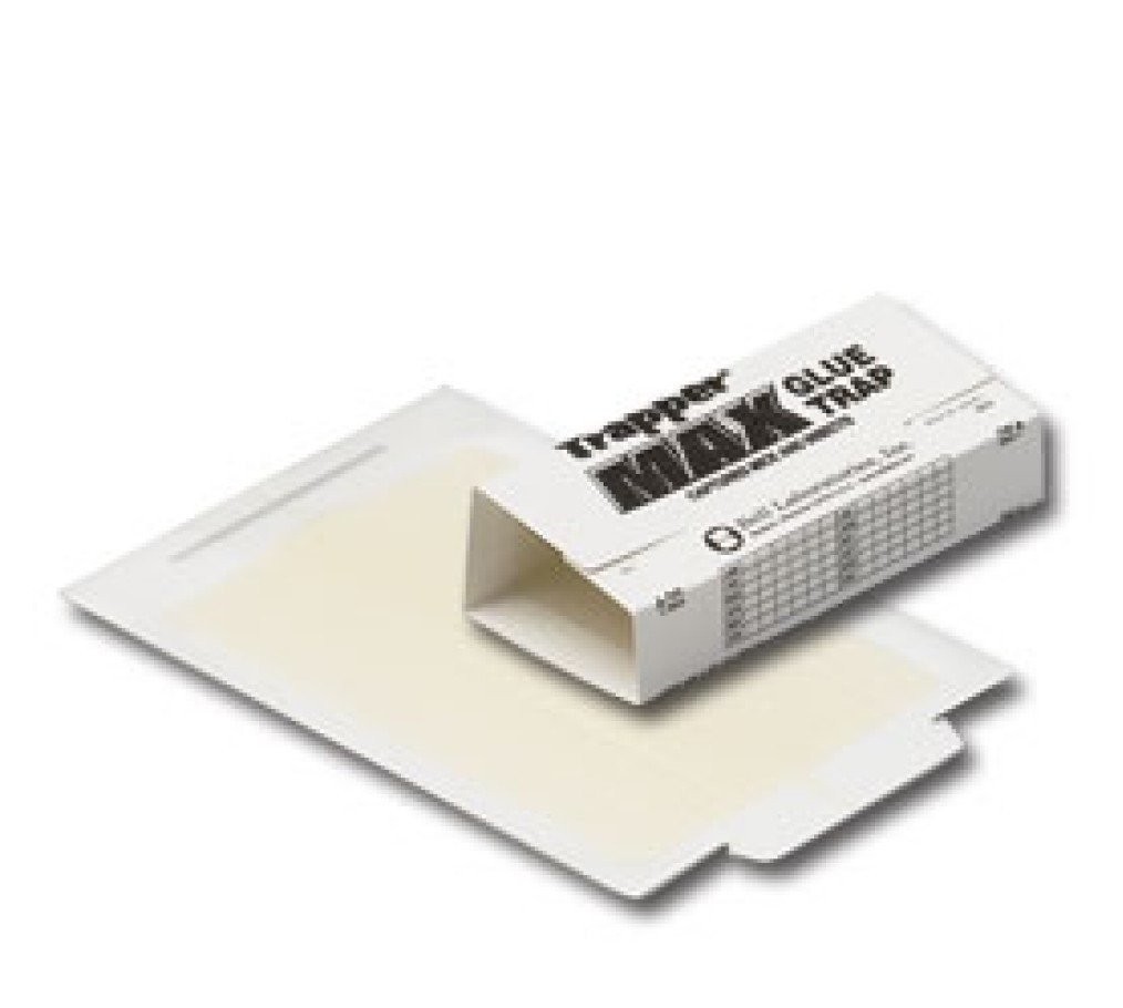 Trapper Max 11 Catchers Maximum 36 Glue Board Trap White