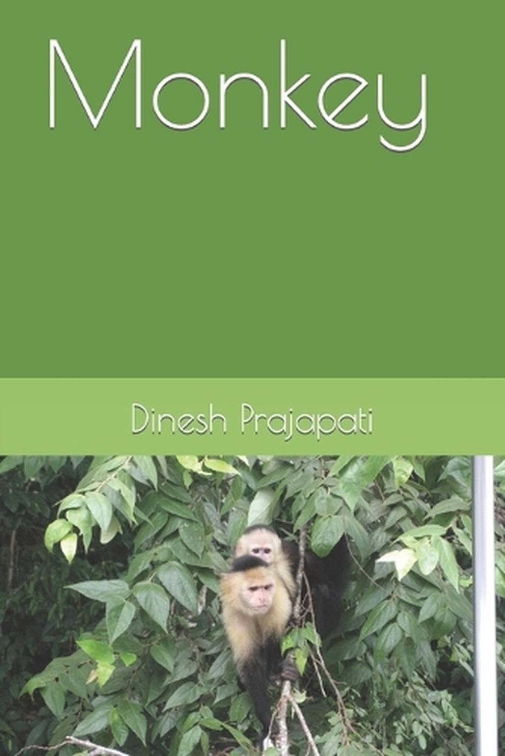 Monkey