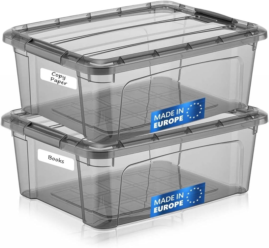 Transparent Tinted Plastic Storage Containers with Latching Lids - 15.5'' x 12''