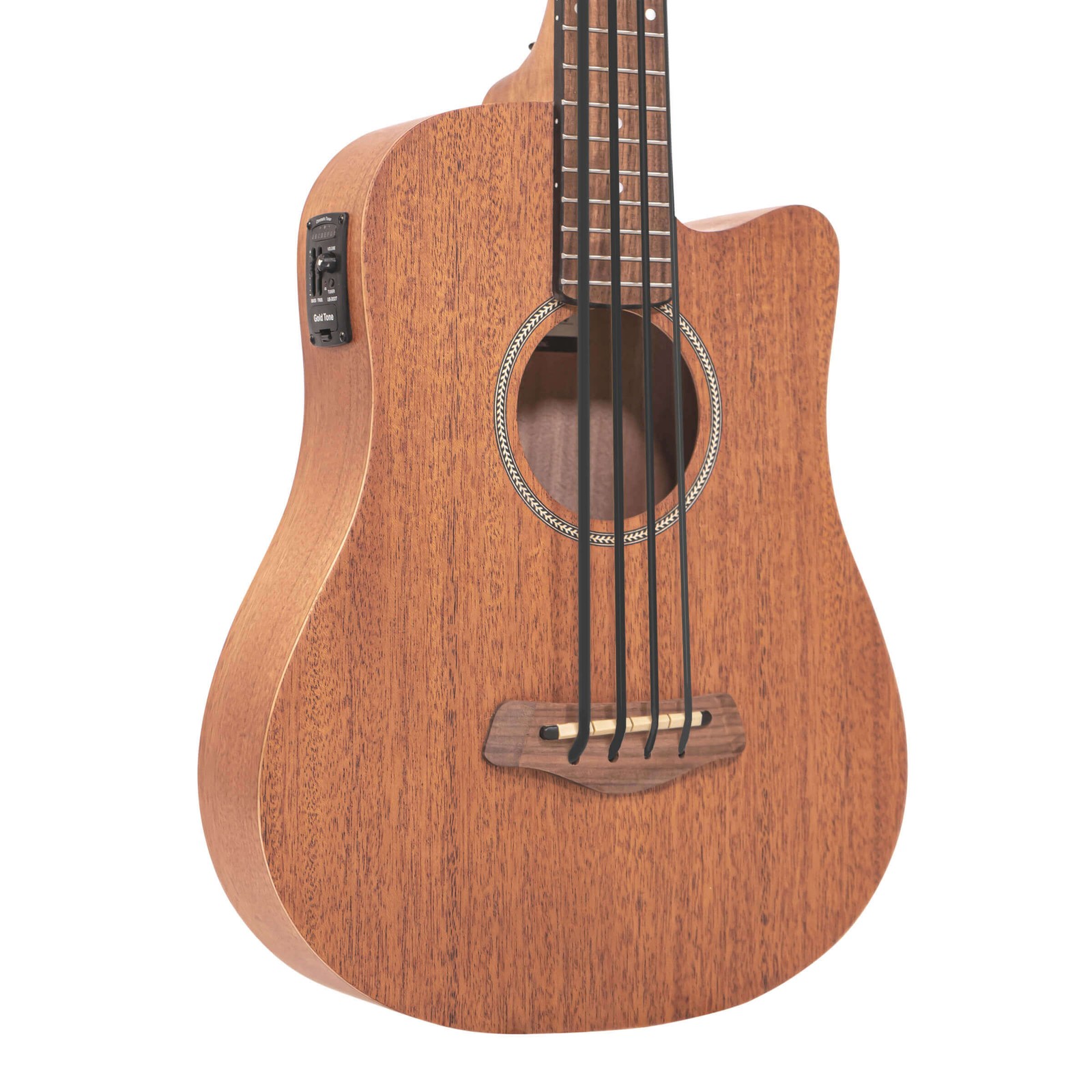 Gold Tone M-Bass25FL | New | Authorized Dealer