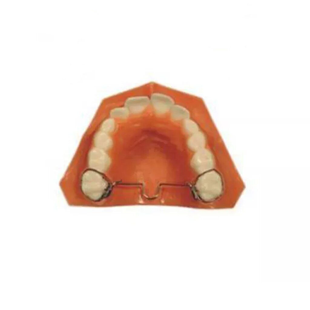 Dental Ortho Palatal Arch Lingual Bar Mesial/Distal Loop Reversed/Universal