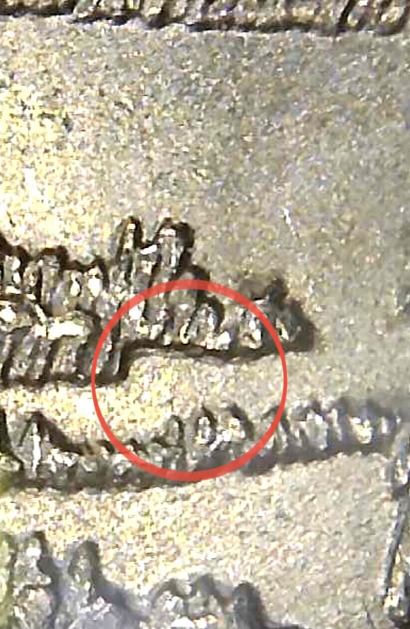 2015 p Bombay Hook Delaware DDR Doubled die Reverse Quarter