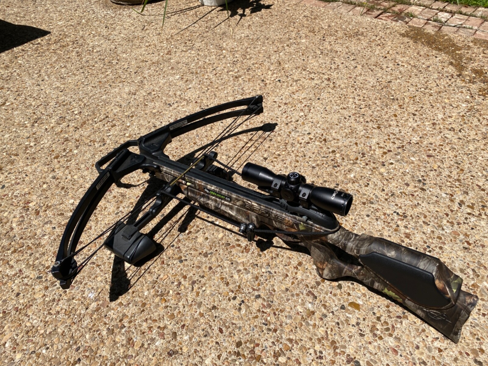 Barnett wildcat c5