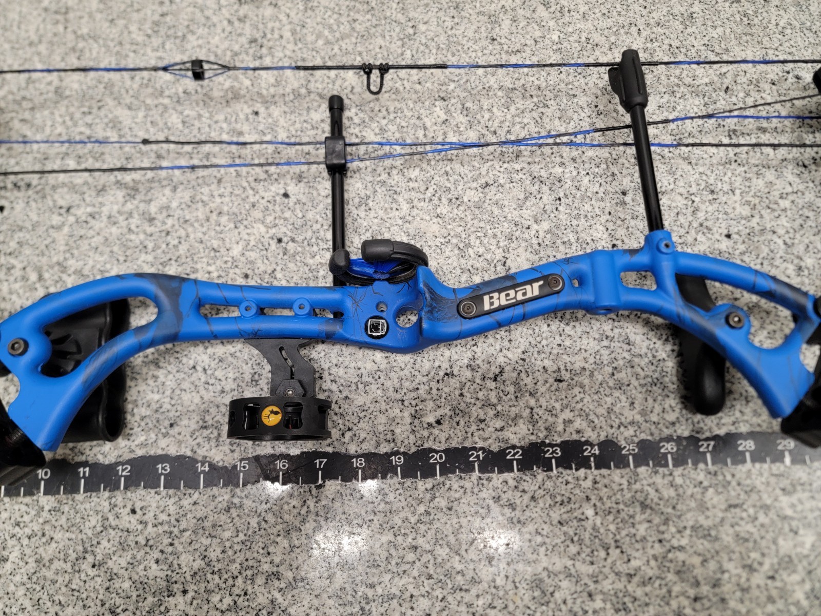 Bear Apprentice III 3 Youth Compound Bow