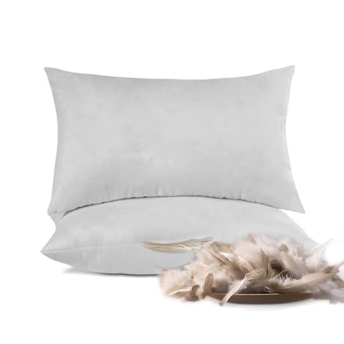 Throw Pillow Inserts 20'' x 12'' Set of 2, Down Feather Decorative Pillows,