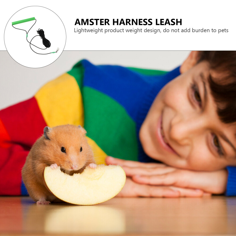 Conure Conure Bird Rope Hamster Leash Training