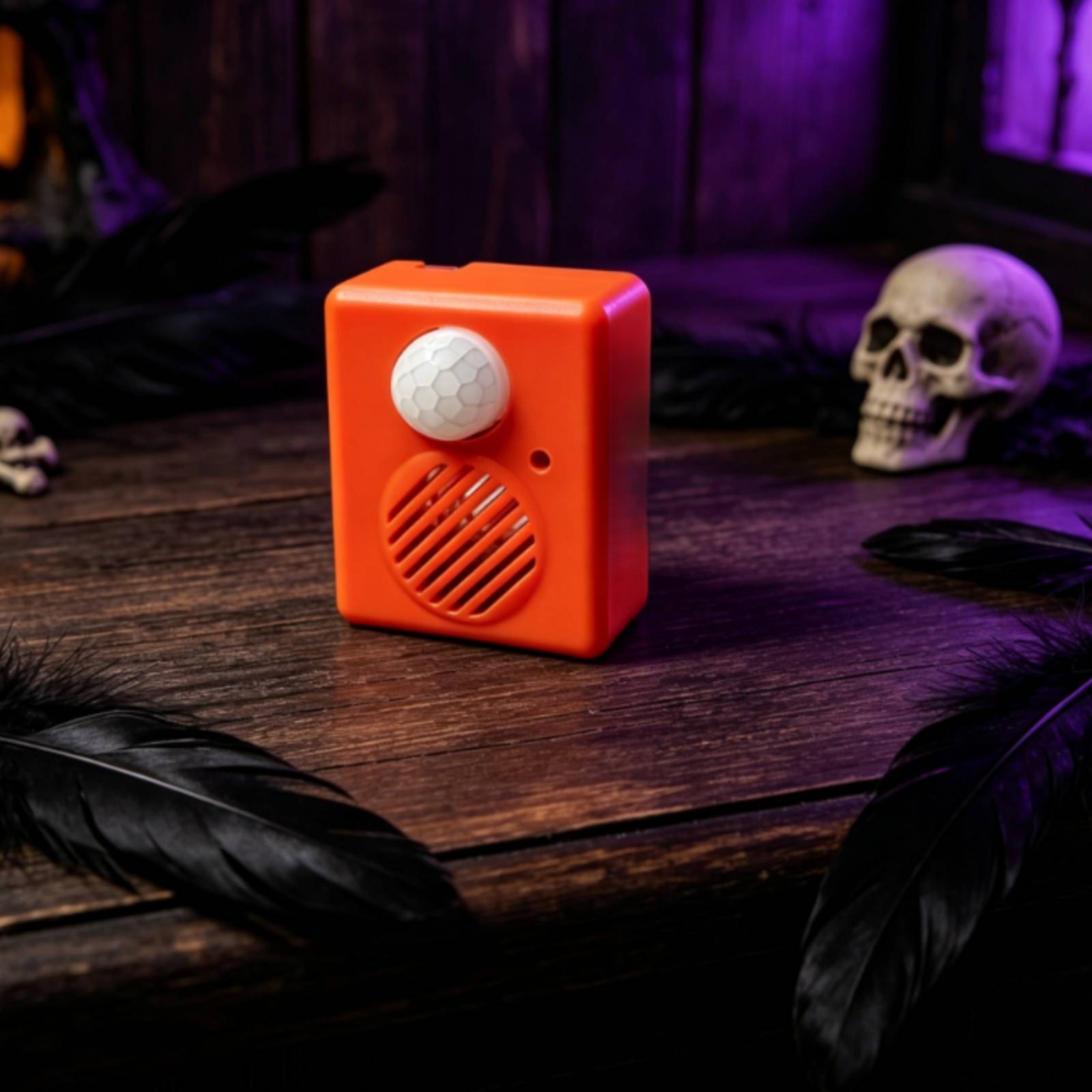 Motion Activated Audio Box Passive Infrared Motion Motion-Sensing Component