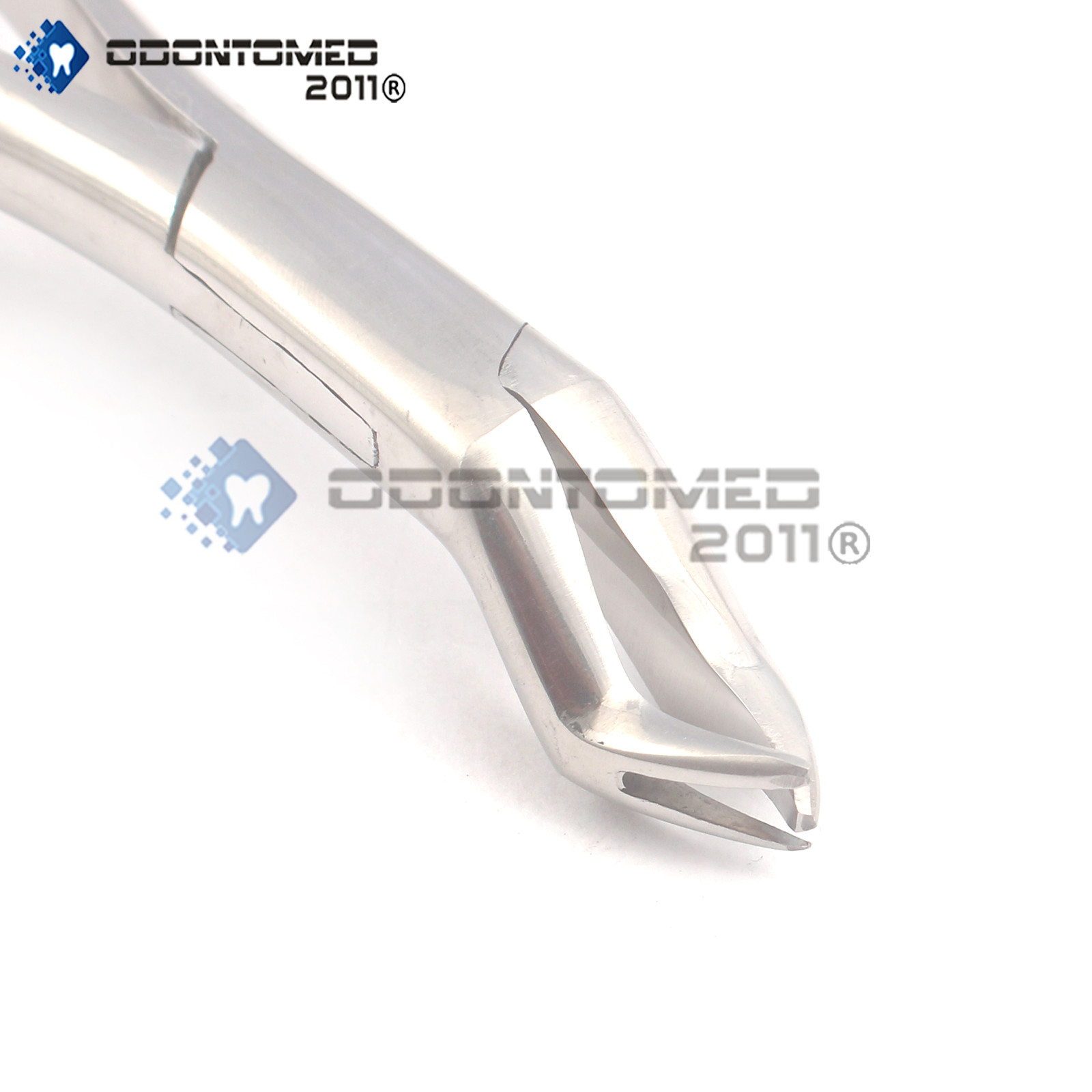 Dental Extracting Forcep 88r Molar Tooth Extraction Surgical Instruments
