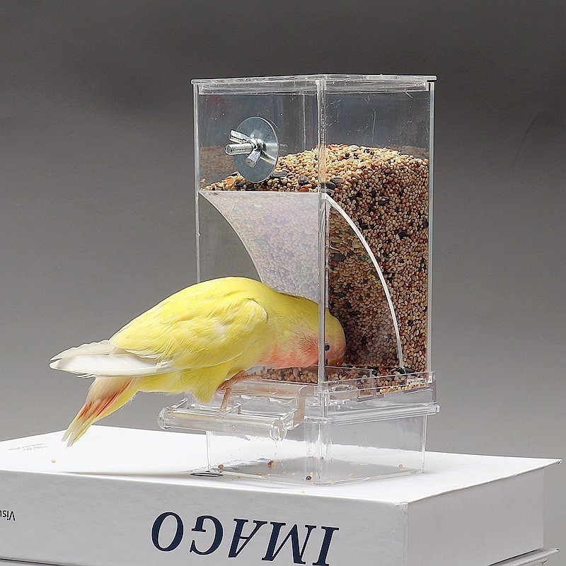 Comederos para aves