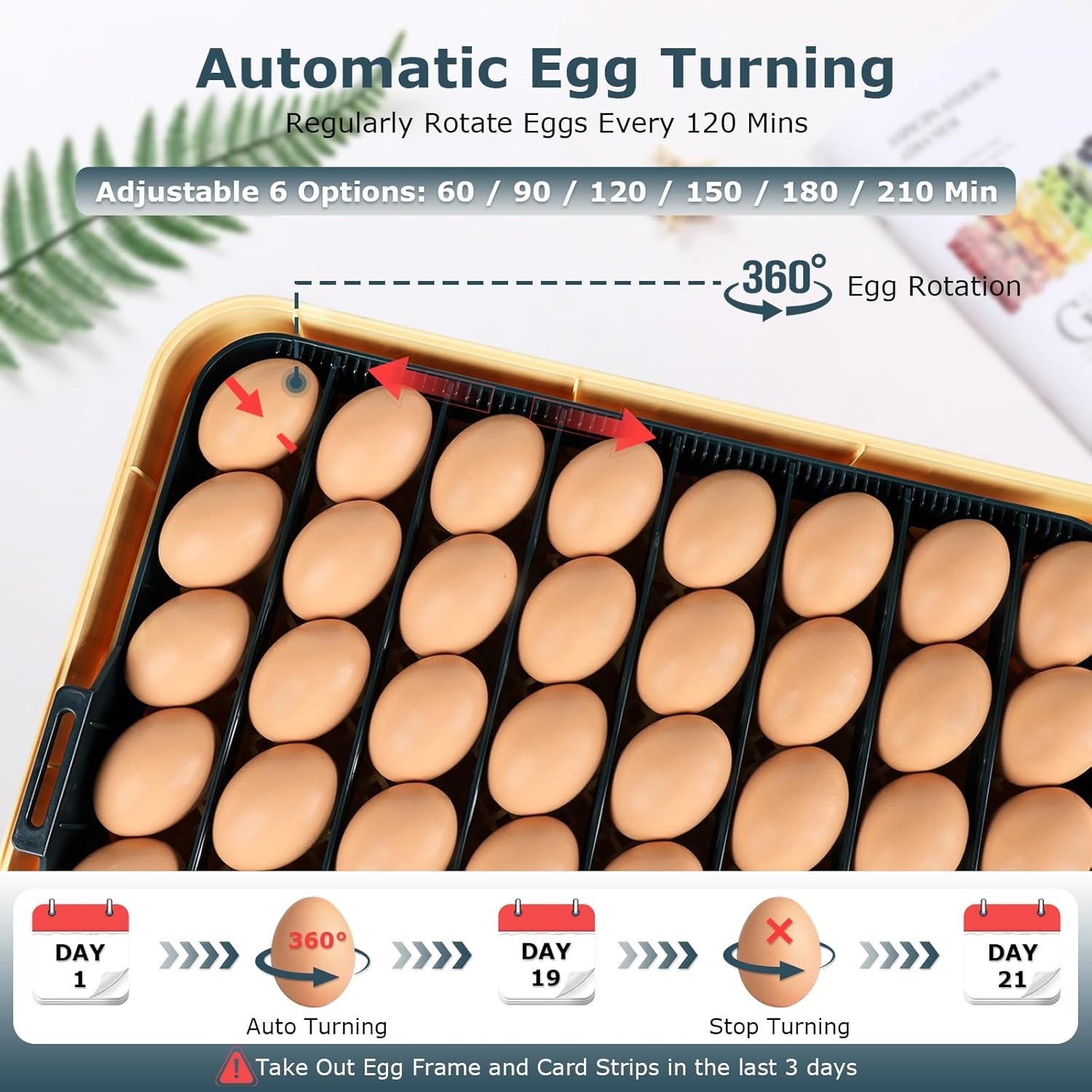 56-Egg Incubator: Temp & Humidity Control, Automatic Turner & 360° View