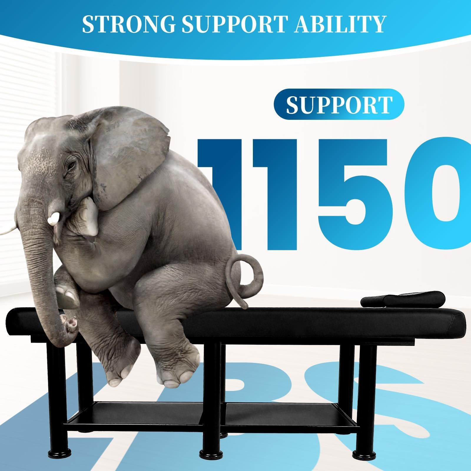 Heavy Professional Massage Bed with Detachable Headrest and Adjustable Backrest