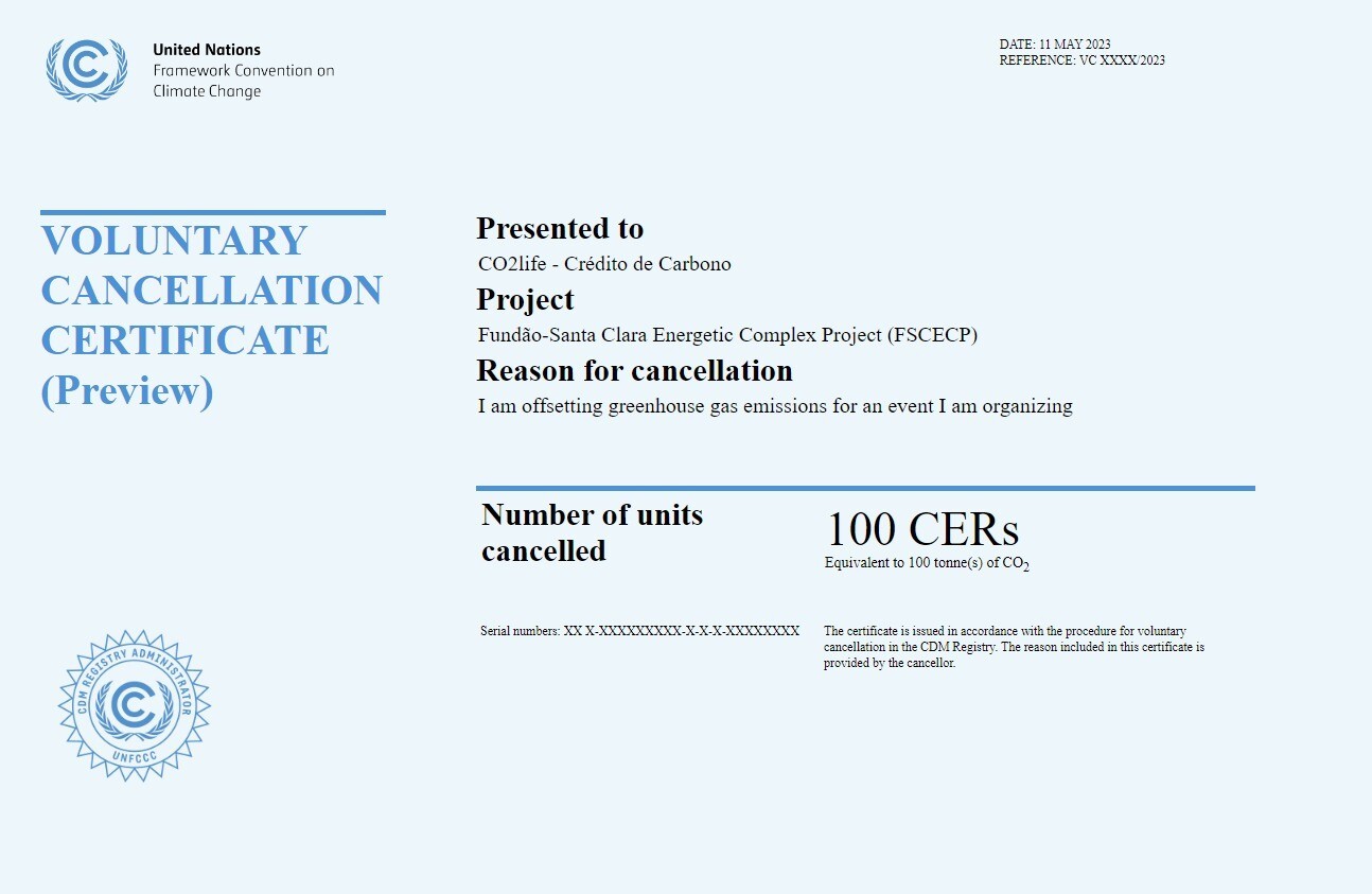 Offset your carbon footprint with UN carbon credits (Carbon Offset) - 100 tCO2e