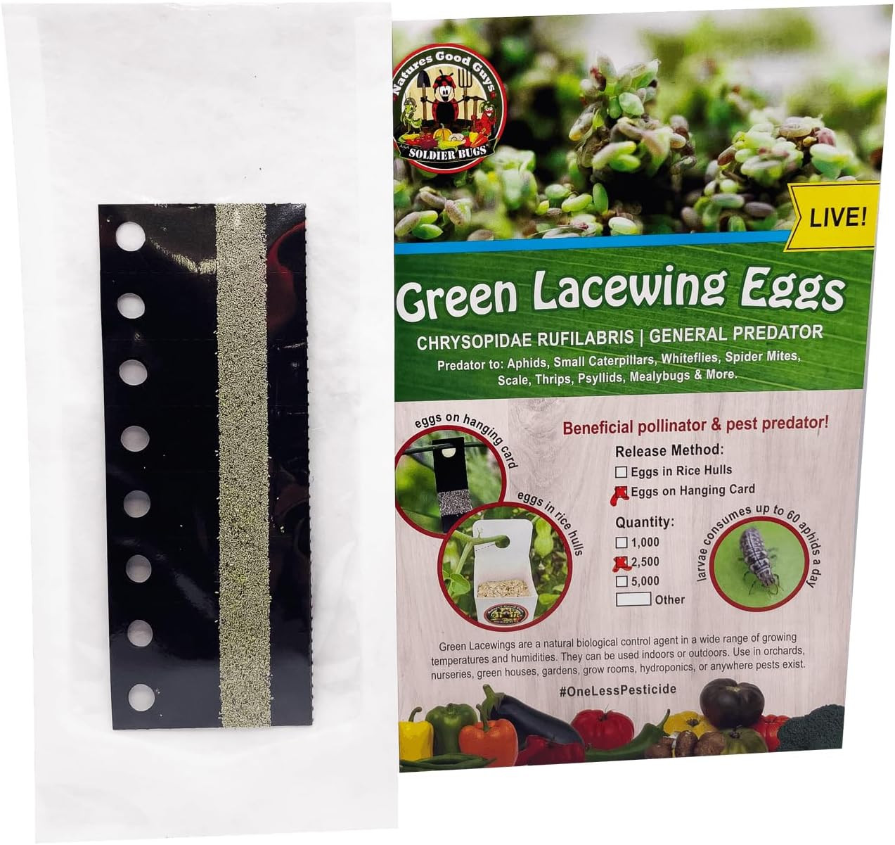 - Green Lacewing Eggs on Hanging Card (2,500 Eggs)