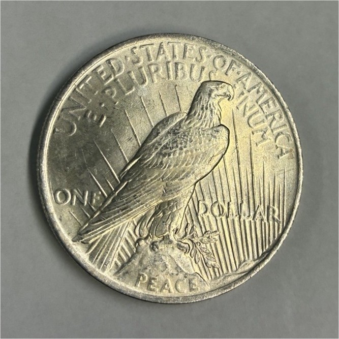 1923 Peace Dollar $1 Silver 0.900 Die Crack Error, Business Strike, Phila
