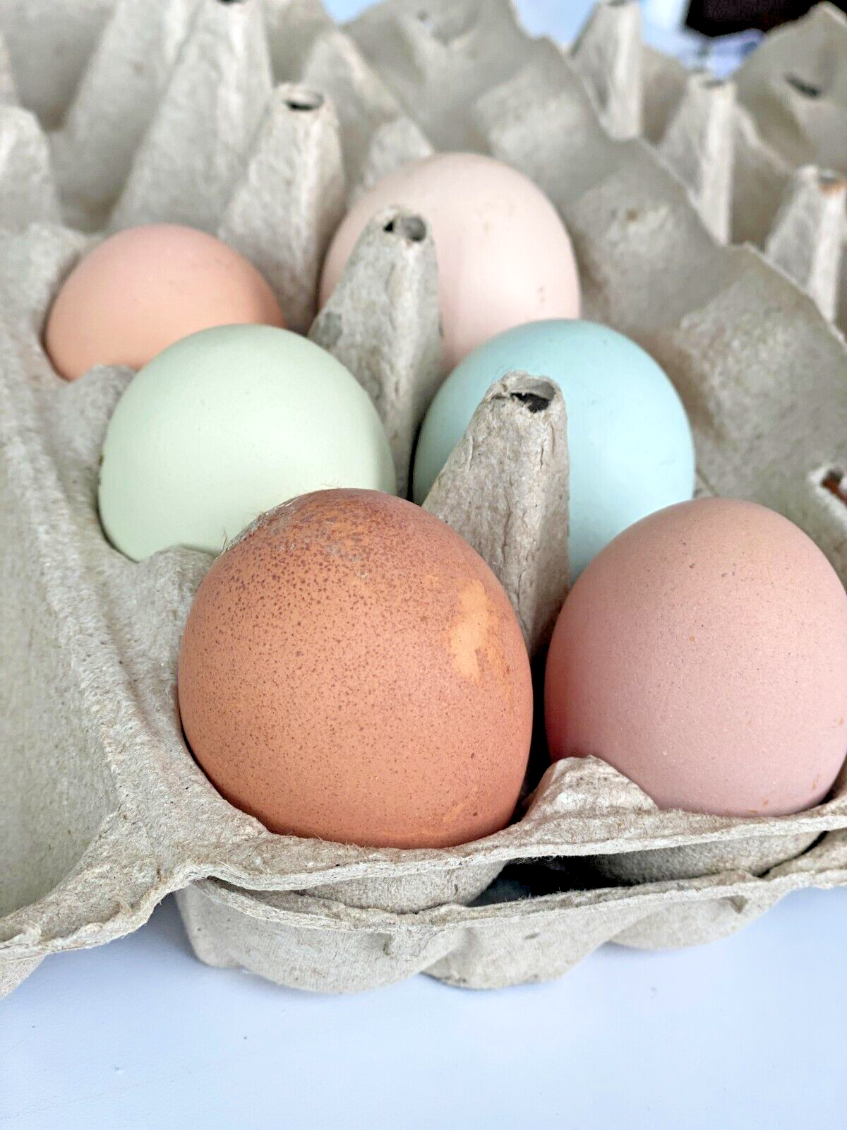 10 Custom Select Chicken Hatching Eggs - You Choose - See Description for Breeds