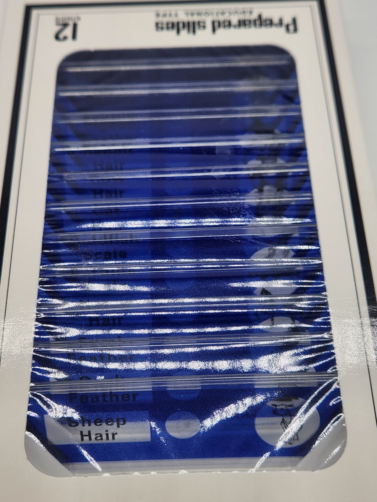 DIY-Science Prepared‎ Slides Educational Type - 48 Plastic Microscope Slides