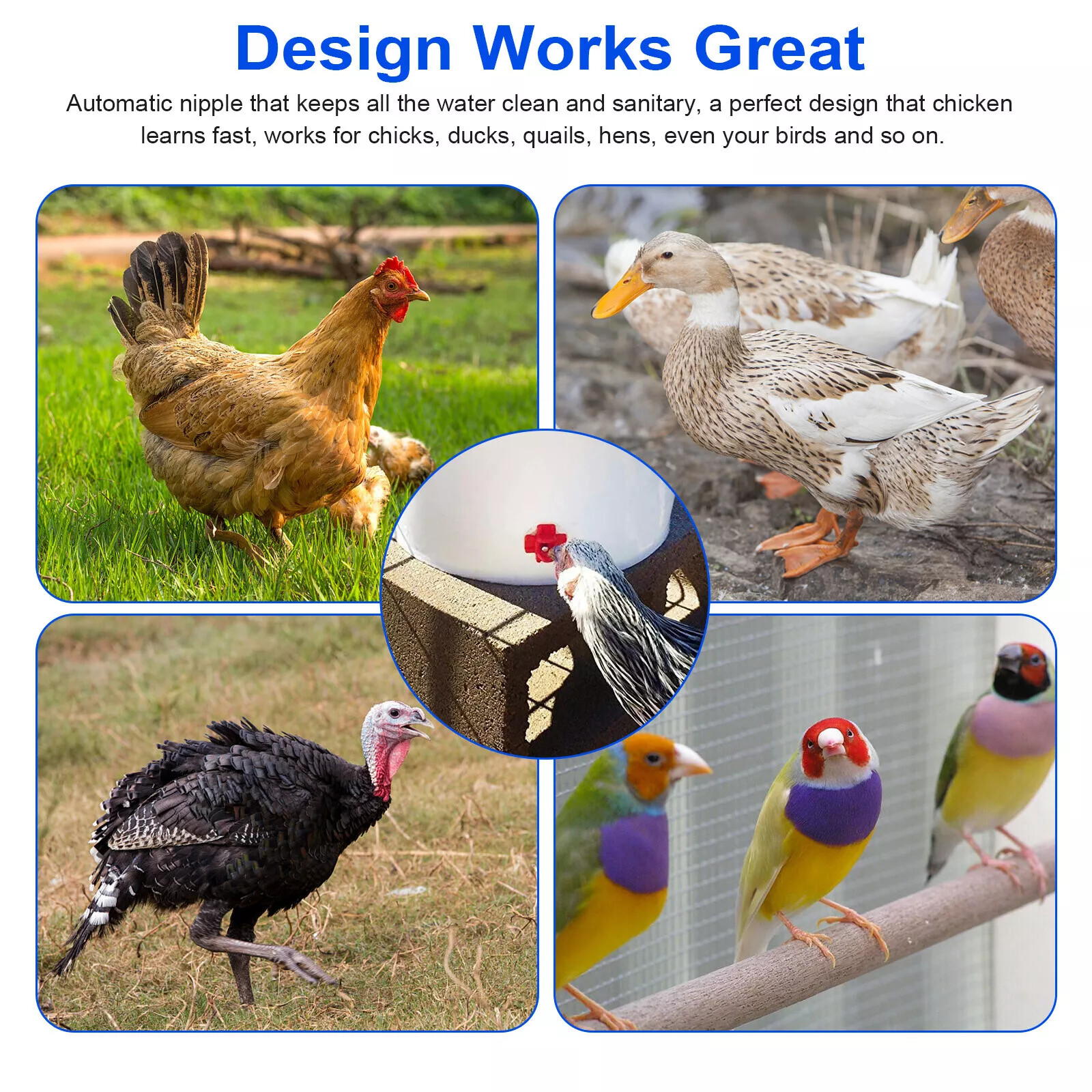 20× Chicken Nipples Automatic Waterer Poultry Drinker Hen Duck Quail Drinking US