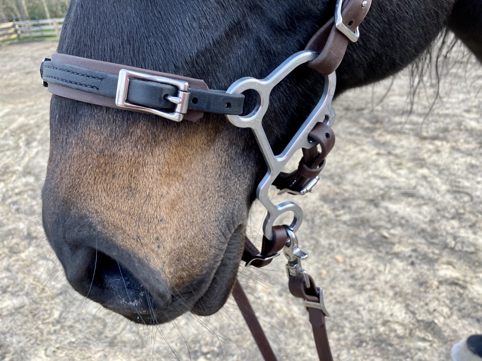 ** Highest Quality Aluminum "S" Hackamore Shanks