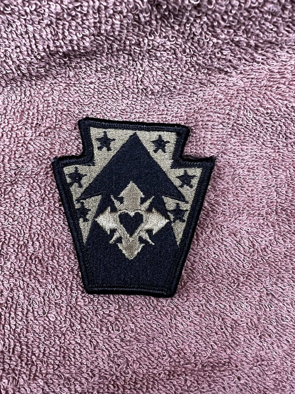 US Army Shoulder Patch, 213th Regional Support Group, PAARNG, OCP w/ Hook Back