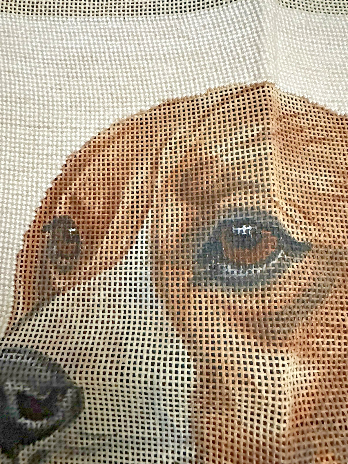 Vintage needlepoint canvas BEAGLE 10.5" x 10.5" 14 HPI started - no threads