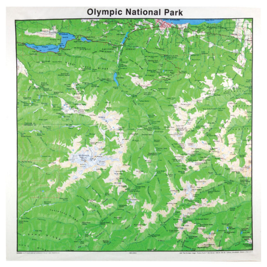 Printed Image Olympic National Park Bandanna 22" x 22" Topographic Map Outdoors