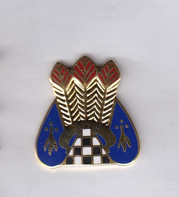 US Army 123rd Army Reserve Command ARCOM crest DUI badge G-23
