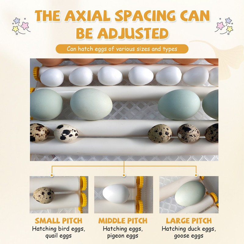 36 Eggs Incubator Chicken Incubators for Hatching Quail Automatic Egg Turning