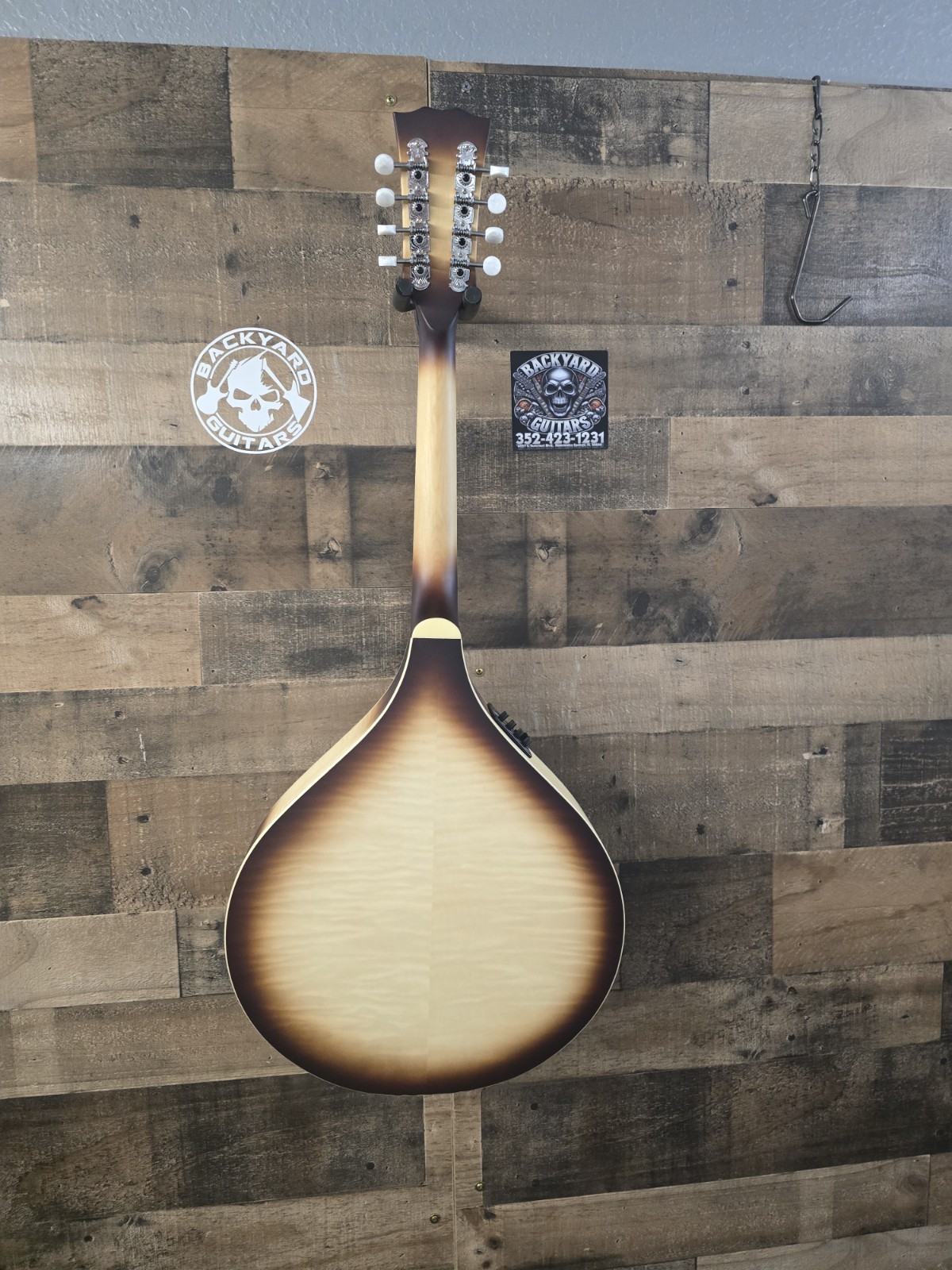 Mcneela ElectroMandolin Clean