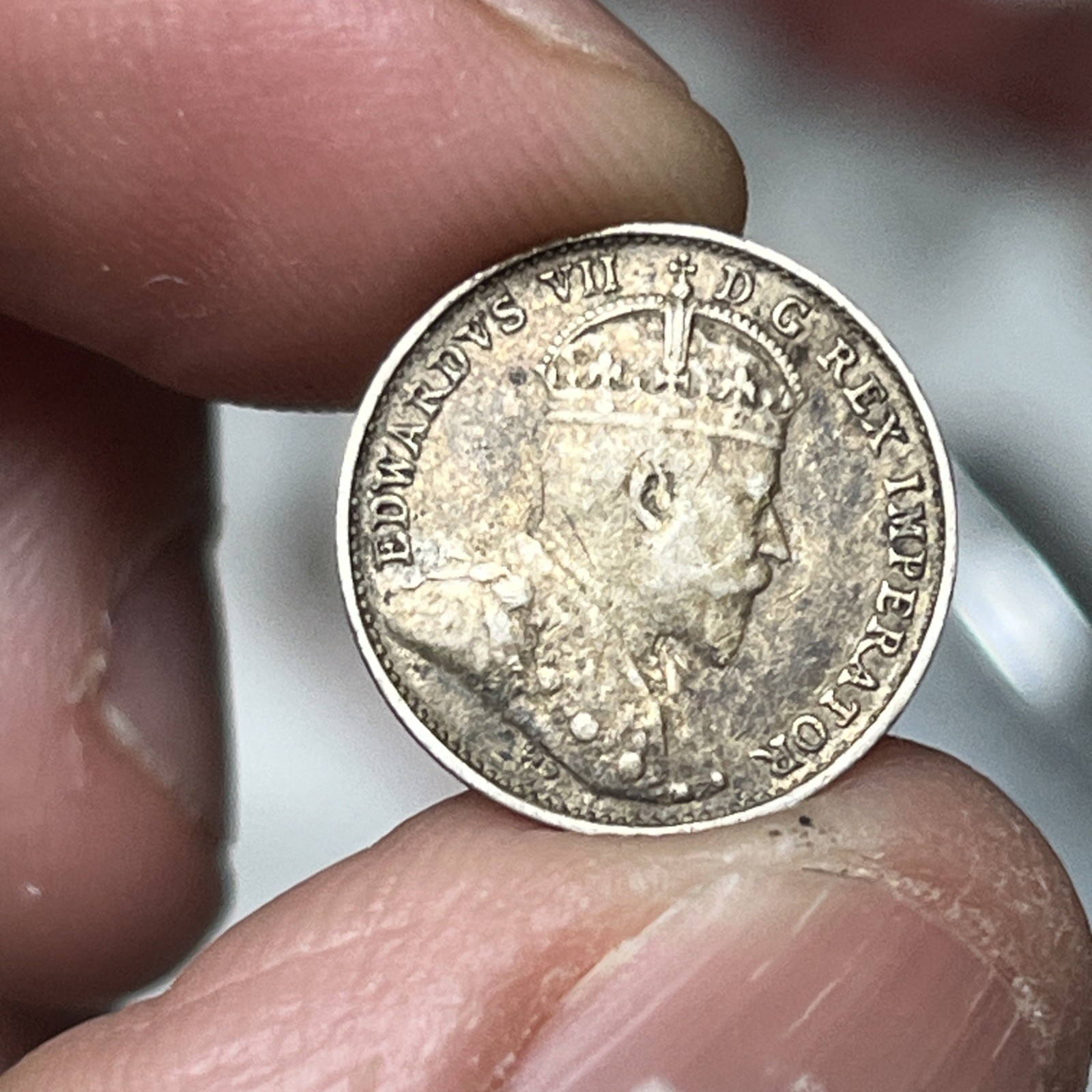 1903 H Canada 5 Cents Sterling Silver Coin XF Condition