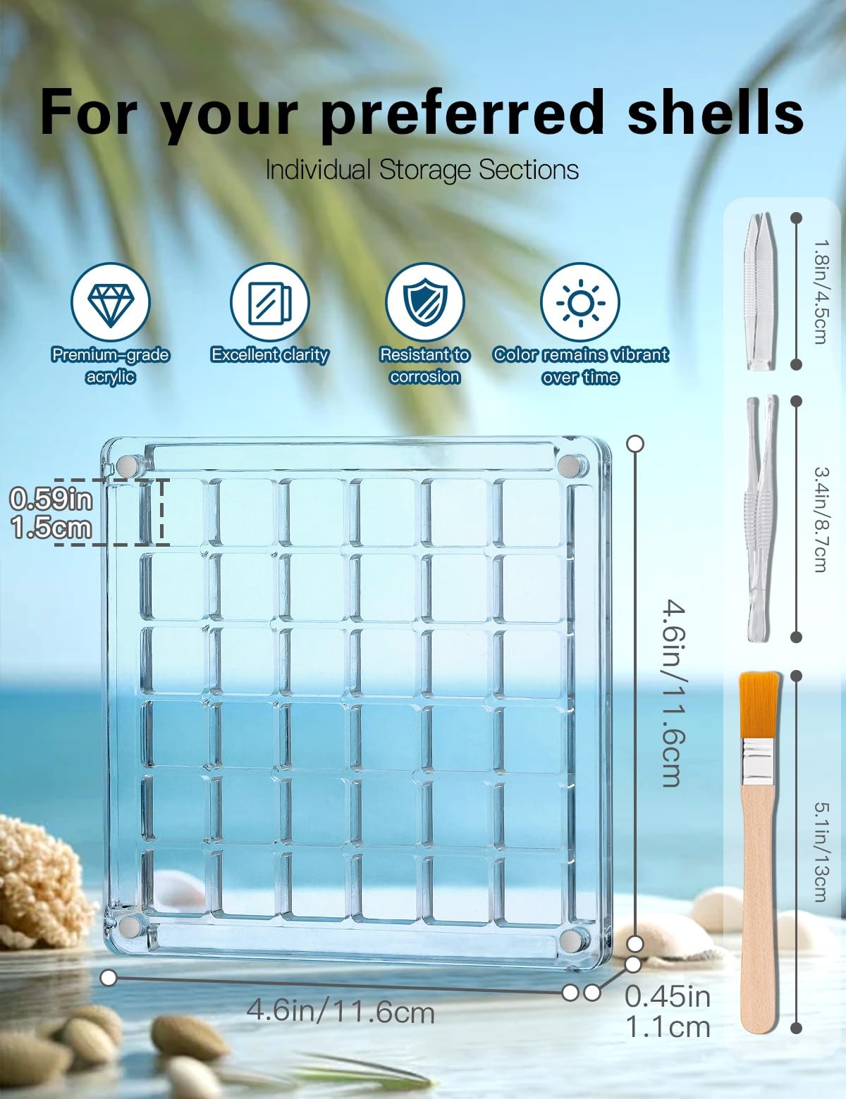 Seashell Display Box – 36 Grid Clear Acrylic Shell Holder & Organizer