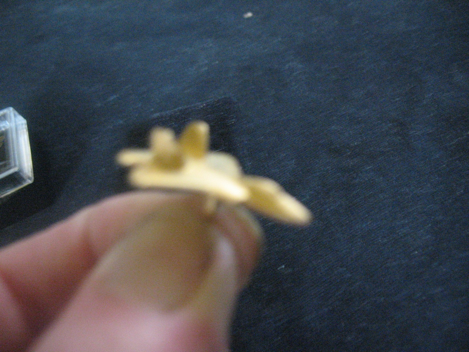 F/A-22 RAPTOR Lapel Pin