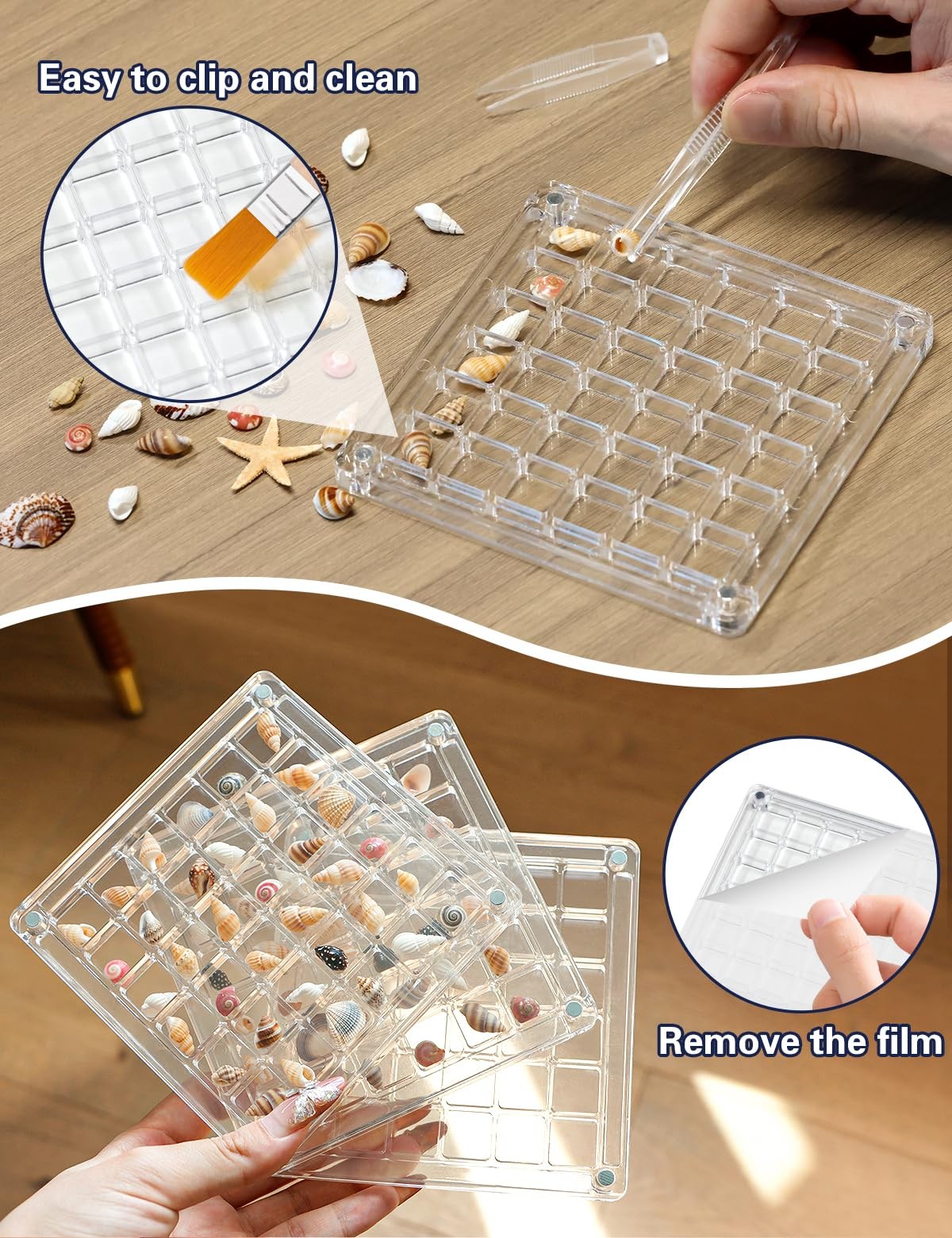 Seashell Display Box – 36 Grid Clear Acrylic Shell Holder & Organizer