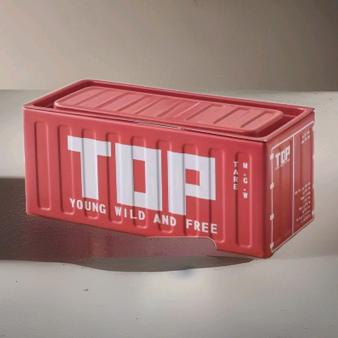 Mini Storage Box Creative " Container" Style - Desktop Organizer w/lid - Metal
