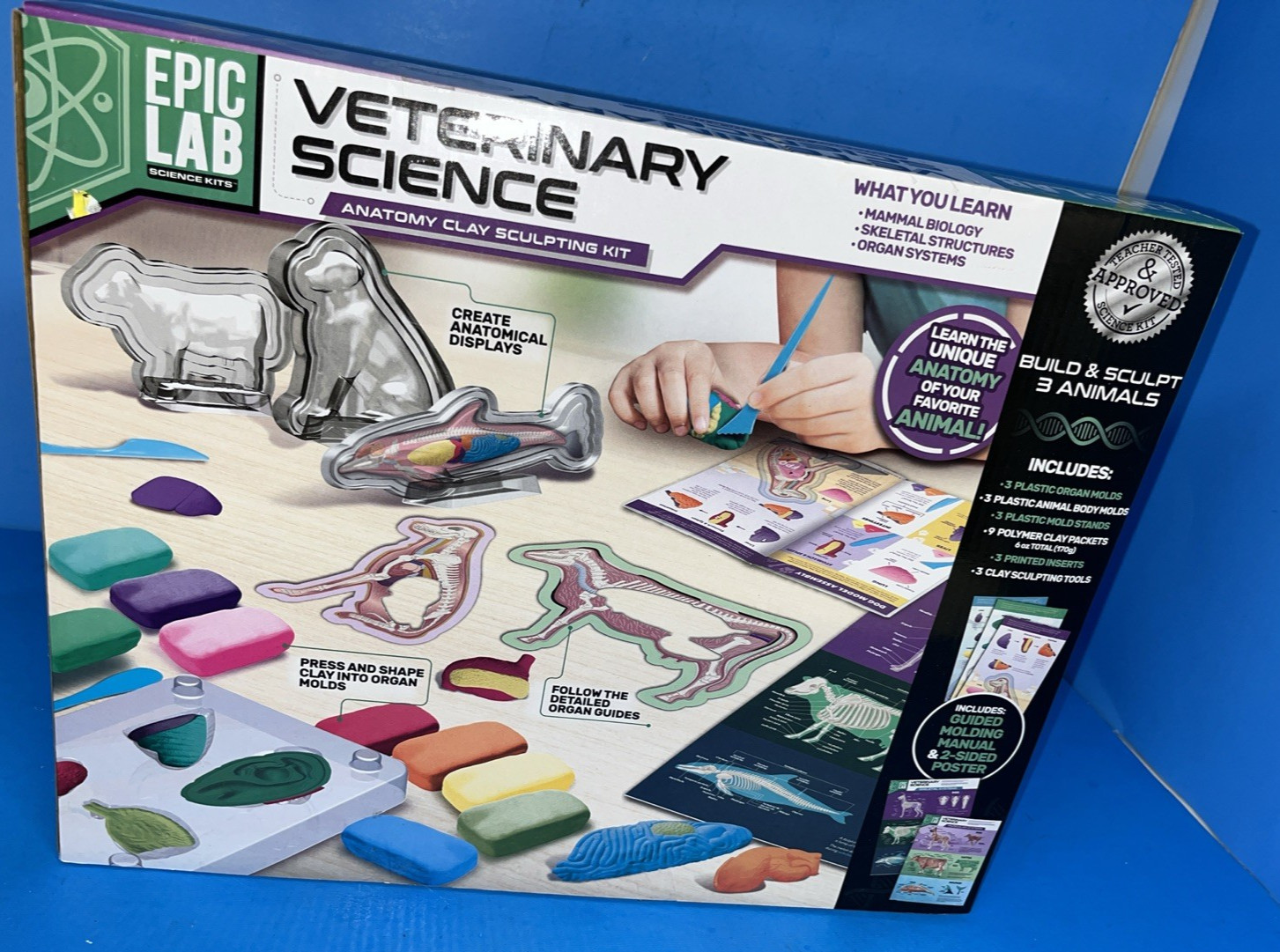 Epic Lab Veterinary Science Anatomy Clay Sculpting Kit PA-7541 Ages 8+ 2021 seal